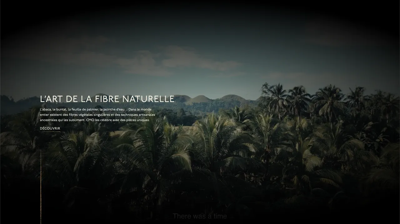 Aperçu du projet CMO Paris